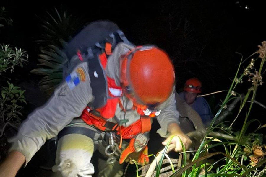 IMAGENS PARA O SITE (34)