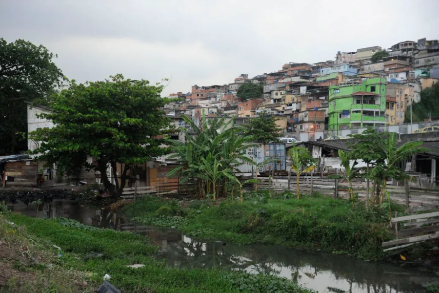 IMAGENS PARA O SITE (34)