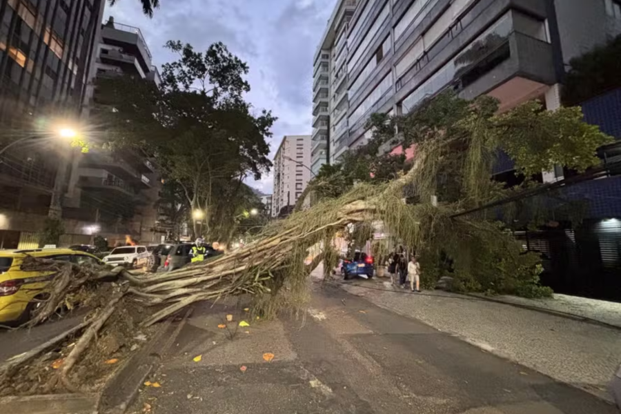 IMAGENS PARA O SITE (38)