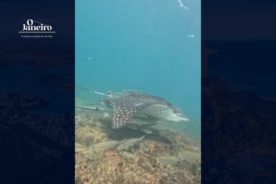 IMAGENS PARA O SITE (4)