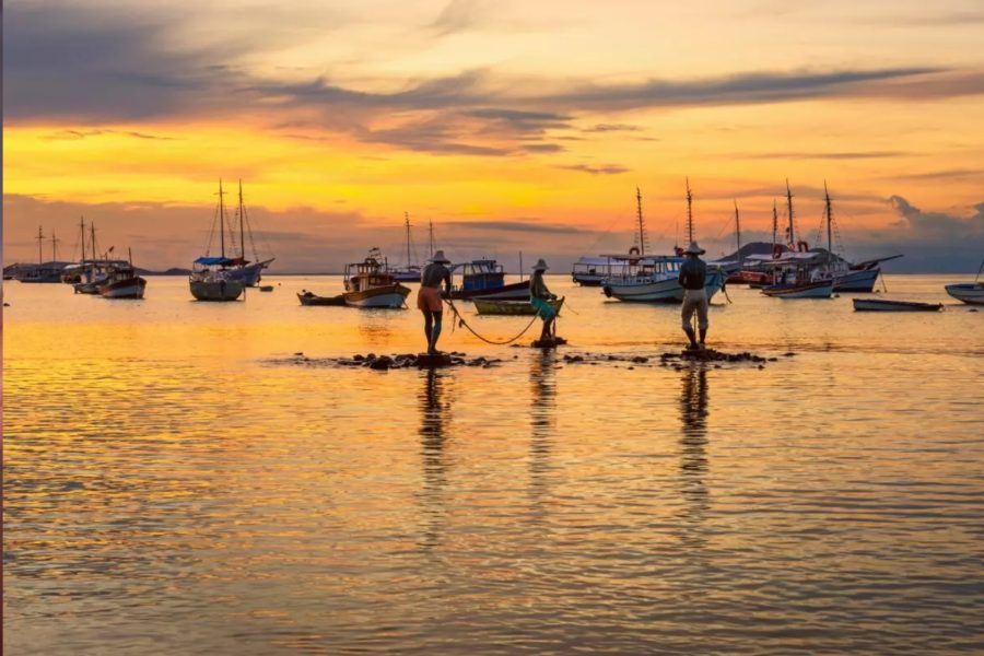 IMAGENS PARA O SITE (4)