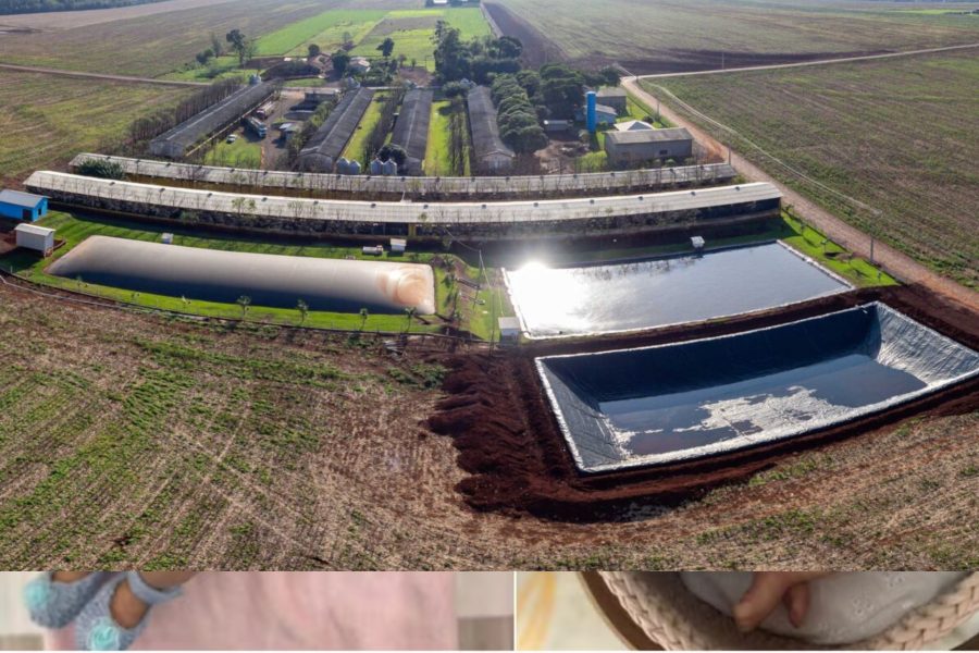 IMAGENS PARA O SITE (40)