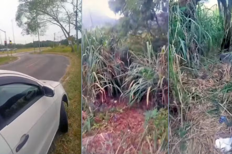 IMAGENS PARA O SITE (49)