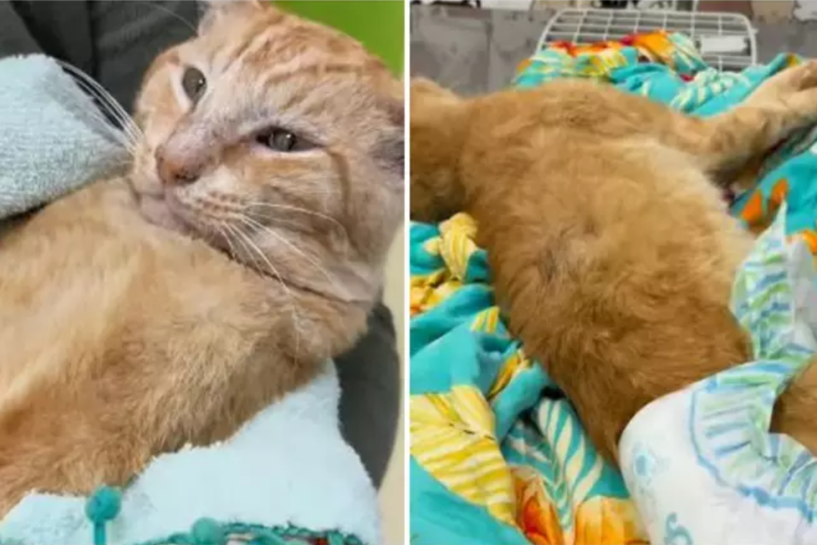 IMAGENS PARA O SITE (5)