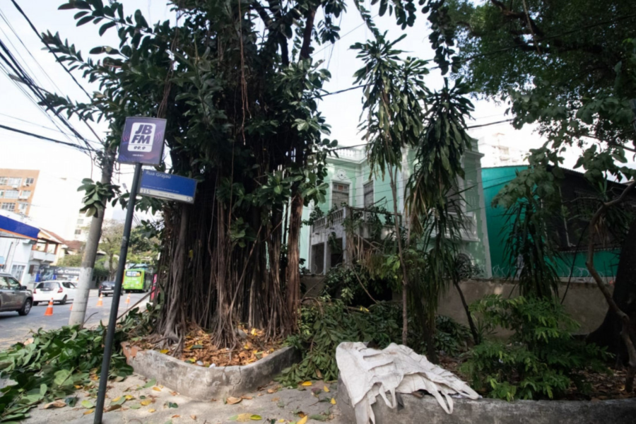 IMAGENS PARA O SITE (5)