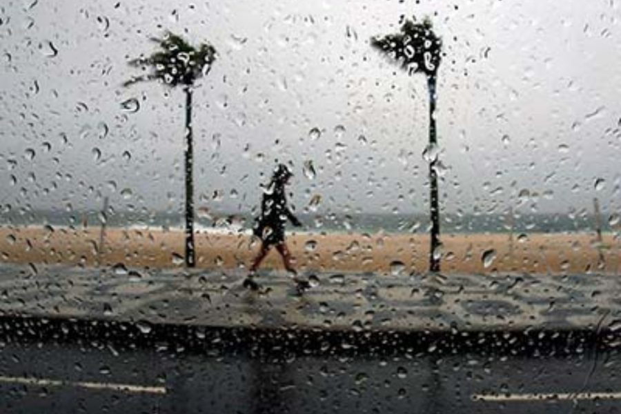 IMAGENS PARA O SITE (5)