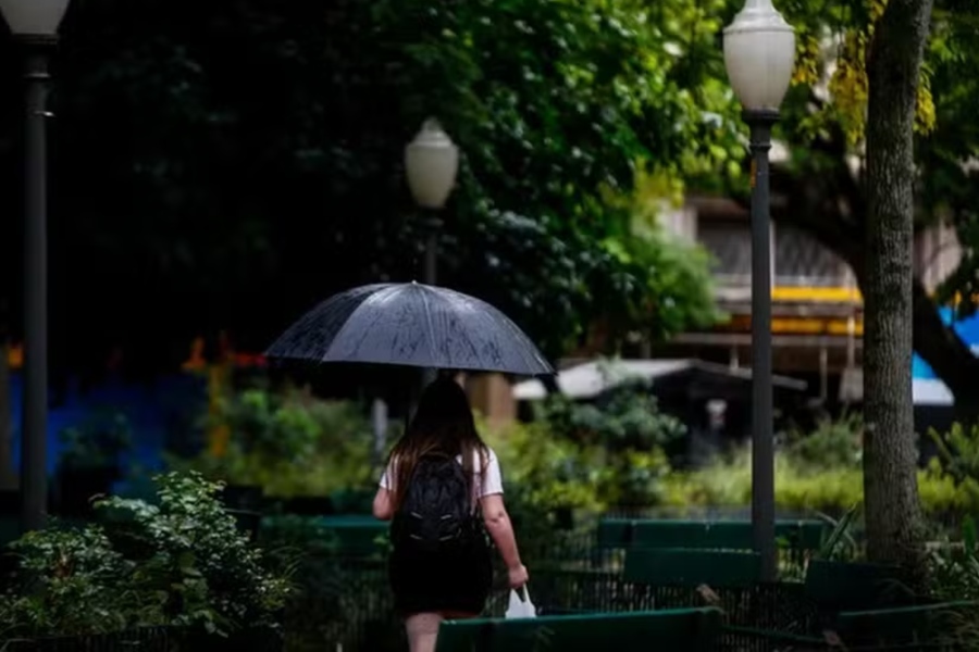 IMAGENS PARA O SITE (54)