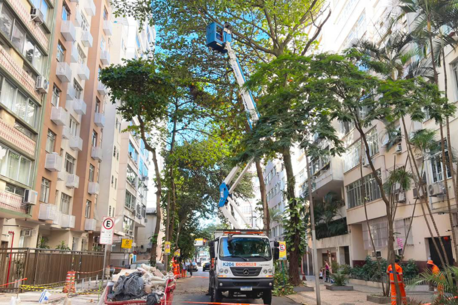 IMAGENS PARA O SITE (55)