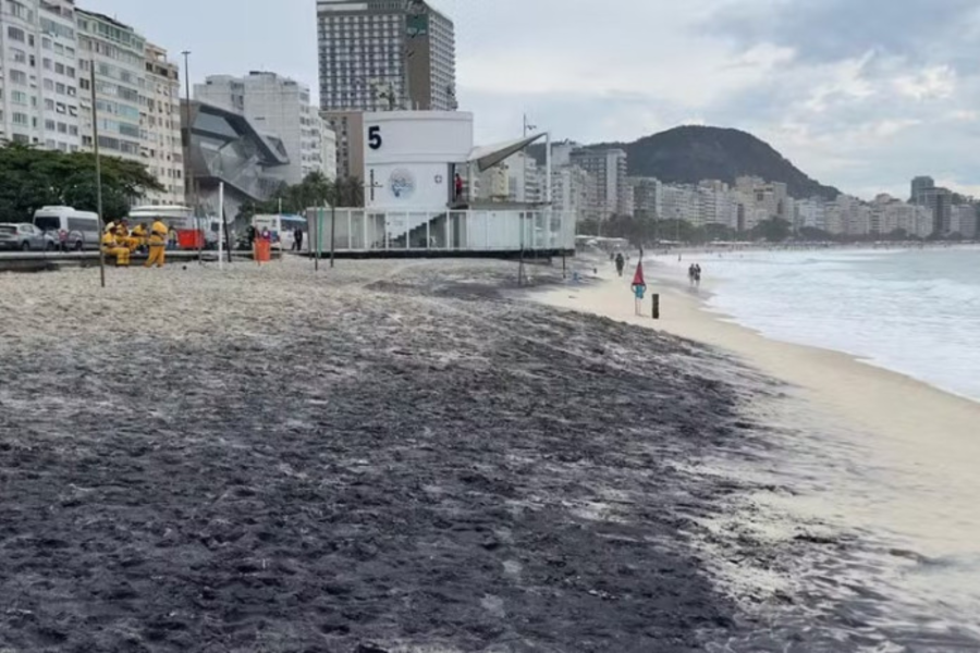 IMAGENS PARA O SITE