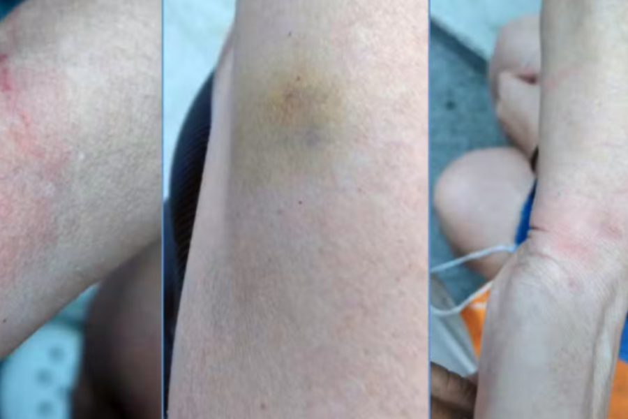 IMAGENS PARA O SITE (61)