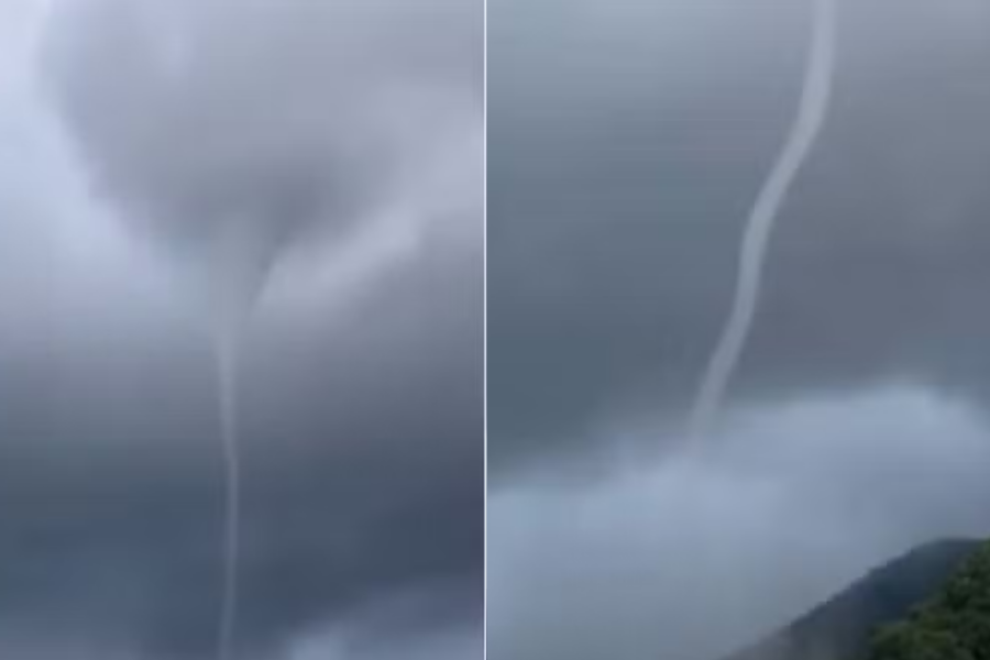 IMAGENS PARA O SITE (63)