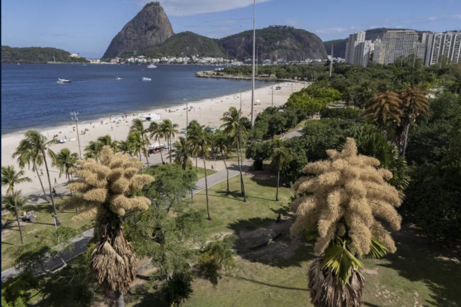 IMAGENS PARA O SITE (7)