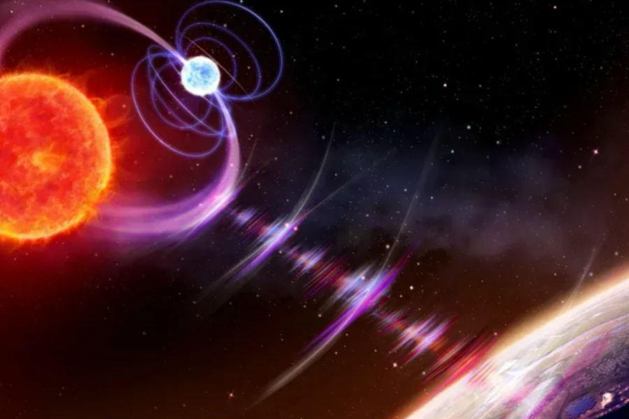 IMAGENS PARA O SITE (7)