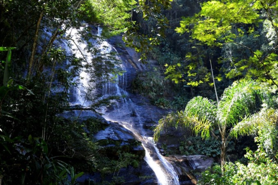 IMAGENS PARA O SITE (7)