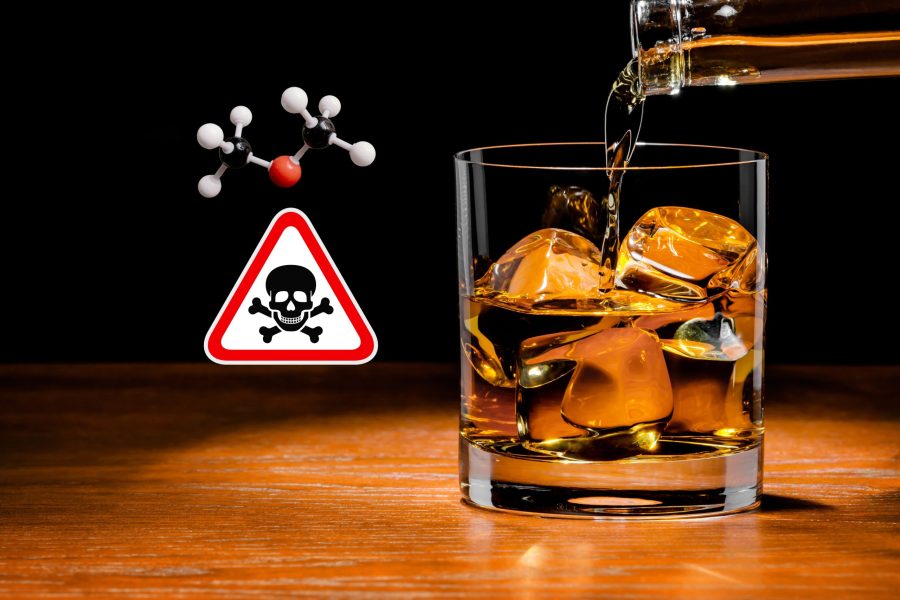 IMAGENS PARA O SITE (7)