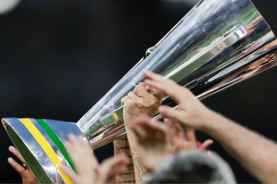 IMAGENS PARA O SITE (77)