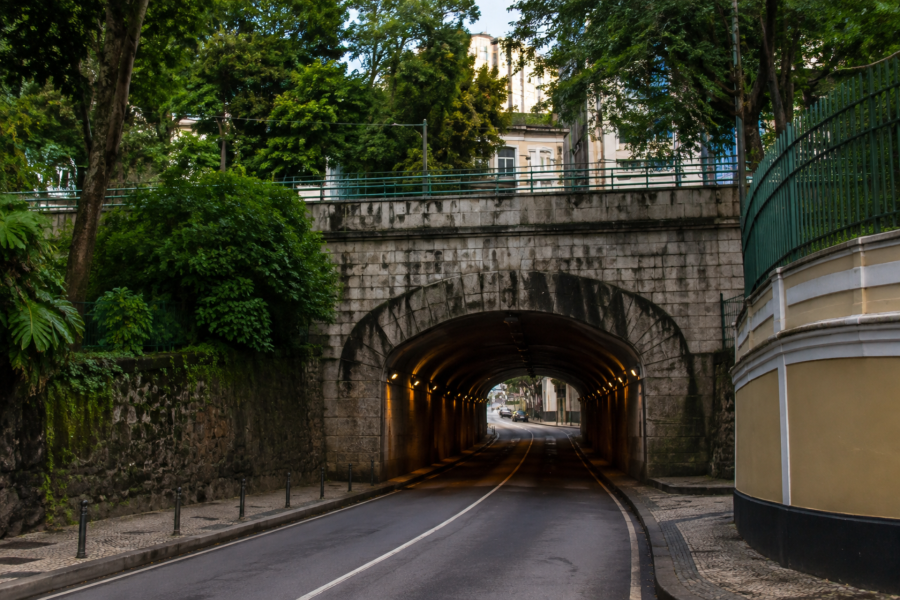 IMAGENS PARA O SITE (79)