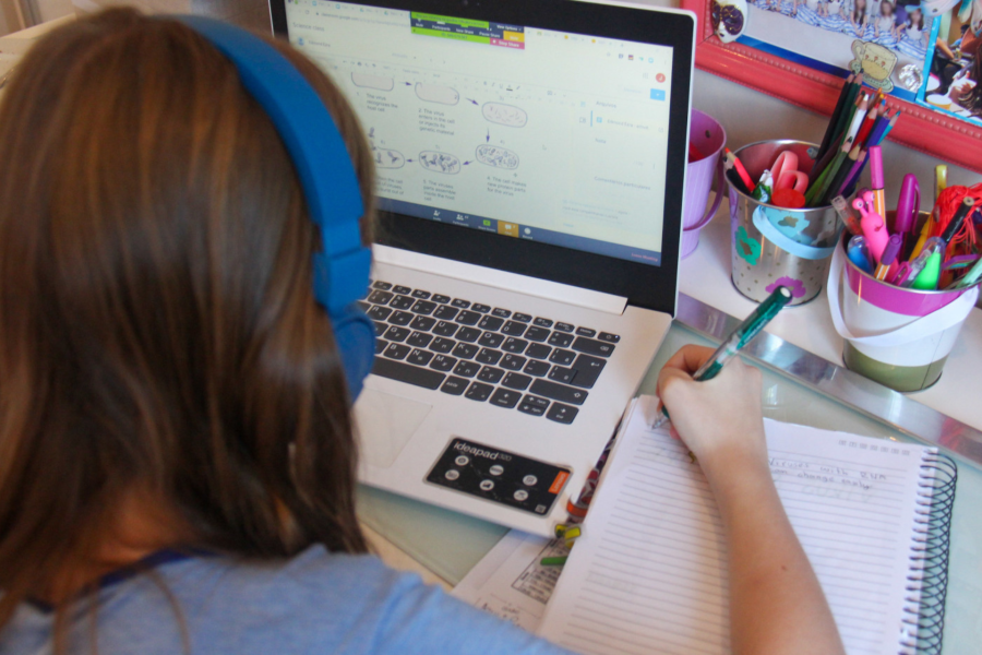 IMAGENS PARA O SITE (8)