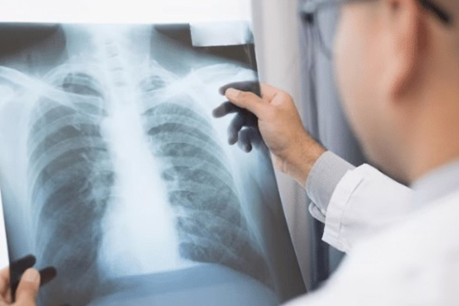 IMAGENS PARA O SITE (8)