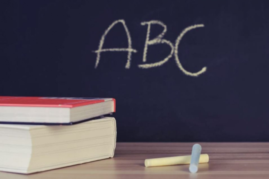 IMAGENS PARA O SITE (8)