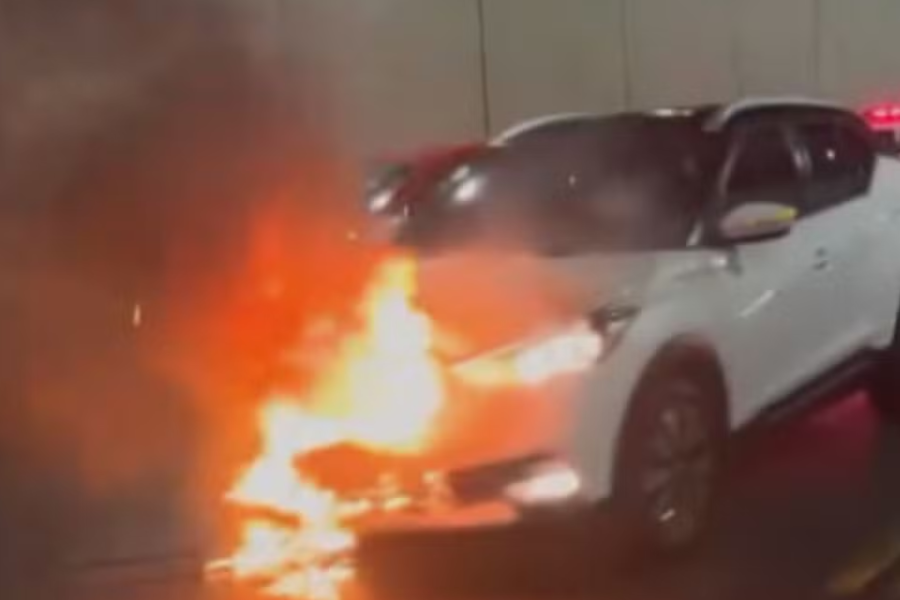 IMAGENS PARA O SITE (92)